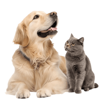 Pet's products